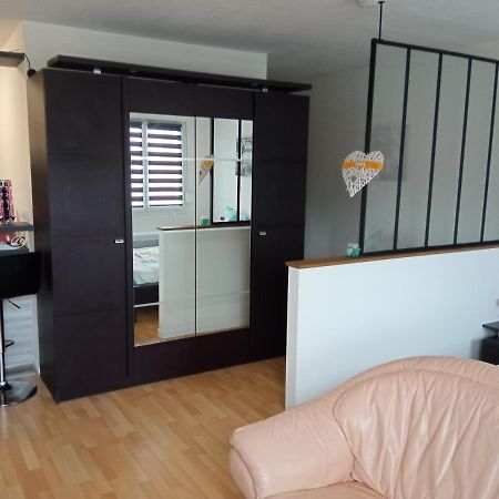 Charmant Studio Classe 3 Etoiles Au Coeur De นีเดอร์บรอนน์-เลส์-แบ็งส์ ภายนอก รูปภาพ