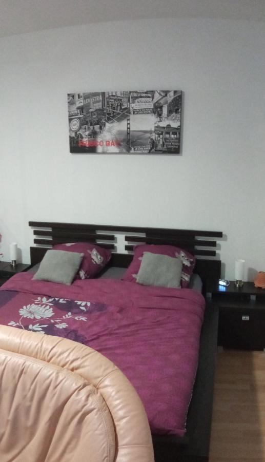 Charmant Studio Classe 3 Etoiles Au Coeur De นีเดอร์บรอนน์-เลส์-แบ็งส์ ภายนอก รูปภาพ